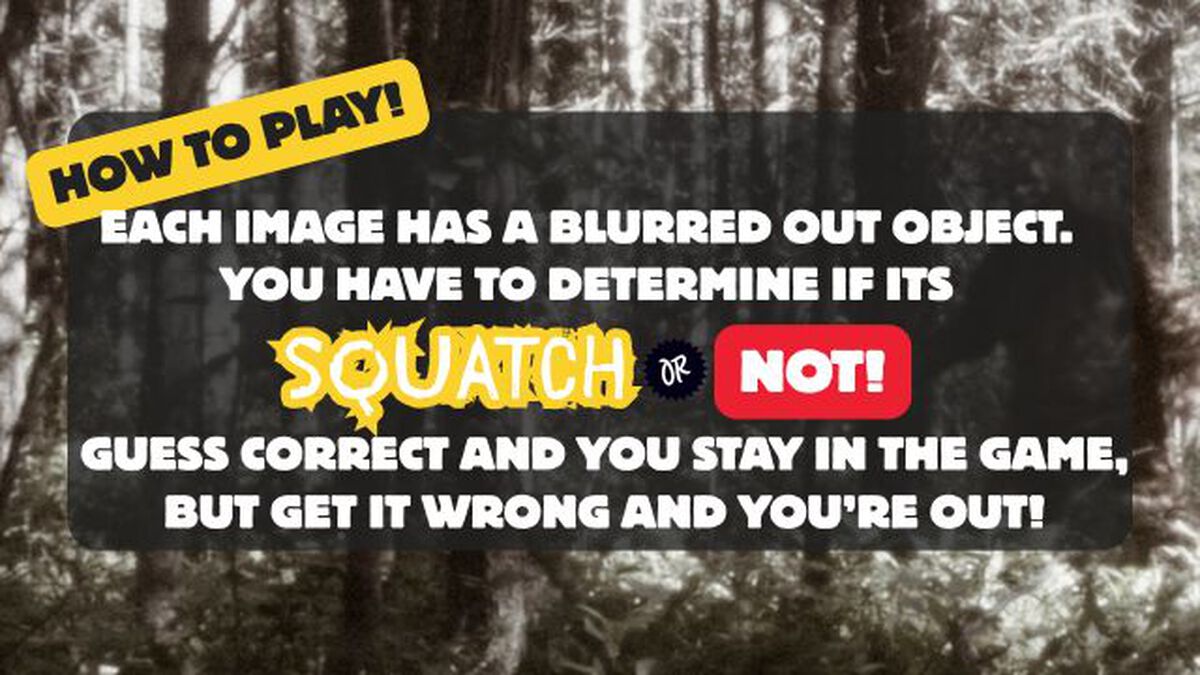 Squatch or Not image number null